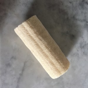 Luffa 1